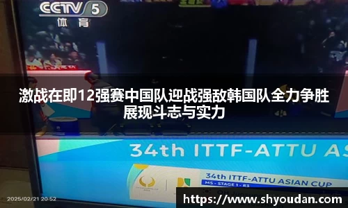 激战在即12强赛中国队迎战强敌韩国队全力争胜展现斗志与实力