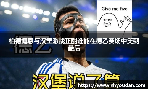 柏德博恩与汉堡激战正酣谁能在德乙赛场中笑到最后